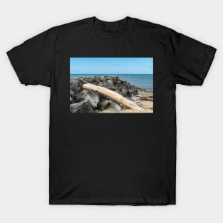 Aberaeron Beach - Rocks & Large Drift Wood Log T-Shirt